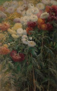 Petit-Gennevilliersの庭の菊 作： Gustave Caillebotte