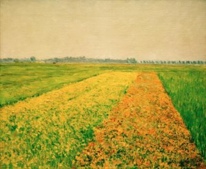 ジェヌヴィリエの平野、黄色のフィールド 作： Gustave Caillebotte