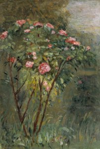 バラ 作： Gustave Caillebotte