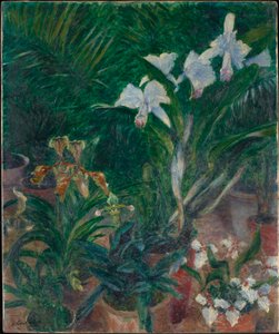 プチ・ジェンヌビリエの温室にある蘭の花（1893年 作： Gustave Caillebotte