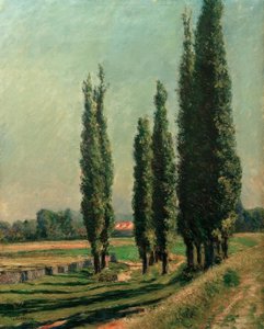 プティジェヌヴィリエのアルジャントゥイユ堤防にあるポプラの木 作： Gustave Caillebotte