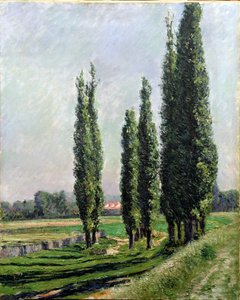 アルジャントゥイユの河岸のポプラ（油彩・キャンバス 作： Gustave Caillebotte