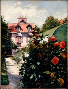 ダリア、プティジェヌヴィリエ庭園、1893年 作： Gustave Caillebotte