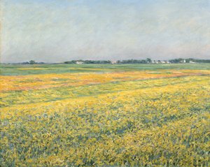 ジェヌヴィリエの平野、イエローフィールド;ジェヌヴィリエの平野、黄色のフィールド、1884 作： Gustave Caillebotte