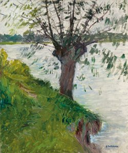 川沿いの柳。 Saule au bord de la riviere、c。 1891 作： Gustave Caillebotte
