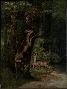 森の中の鹿 作： Gustave Courbet