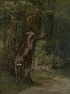 フランス語：Cerfs dans la forêt 森の鹿 作： ギュスターヴ・クールベ