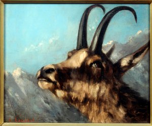 ギュスターヴクールベのシャモア絵画部門責任者 作： Gustave Courbet