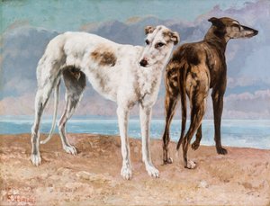 コント・ド・ショワズールのグレイハウンド 作： Gustave Courbet