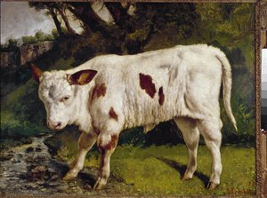 ふくらはぎ 作： Gustave Courbet