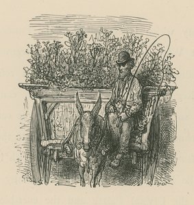植物や花を積んだ荷車を運転する男 作： Gustave Dore