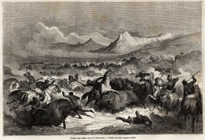 1853-54年にボードゥアン・モルハウゼン（1825-1905）が行ったミシシッピ川から太平洋への航海を説明するために、ギュスターヴ・ドーア（1832-1883）が描いたもの。エングラヴィ 作： Gustave Dore
