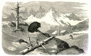 ギュスターヴ・ドーレによる「Voyage aux Pyrenees d