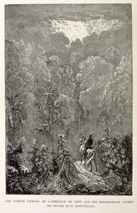 アメリカの森のイラスト（La legende de Croque-Mitaineより）。 作： Gustave Dore