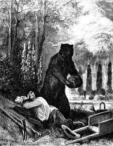 熊と庭師：ギュスターヴ・ドーレによるジャン・ド・ラ・フォンテーヌの寓話。 作： Gustave Dore