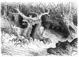 オッソー渓谷の怪物的なブナ、擬人化された怪物の木。1860年、アシェット社刊『Hippolyte Taineのピレネーへの旅』の挿絵を描いたギュスターヴ・ドーアのエングレーヴィング。 作： Gustave Dore