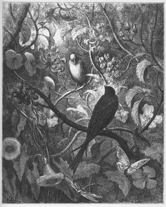 Philomele et Progne-Jean de LaFontaineによる「Fables」から