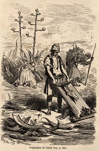 1862年にC.Davillierと共にスペインを訪れた際に描いたGustave Dore（1832-1883）の絵。Le tour du monde "に掲載された版画。 作： Gustave Dore