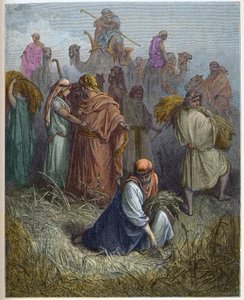 ルースとボアズ（Booz） - ボアズ（Boaz）の畑で働くルース（Ruth and Boaz） - - Gustave Dore（1832-1883）の "The Bible illustree "のエングレーヴィング - "The Dore Bible "のエングレーヴィング 作： Gustave Dore