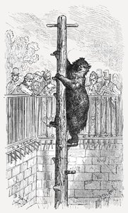 「ベア ピット - 動物園」、1872 年。 作： Gustave Dore