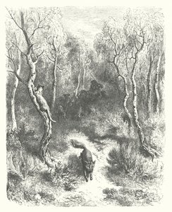 ラ・フォンテーヌの寓話猫と狐（エングレーヴィング） 作： Gustave Dore