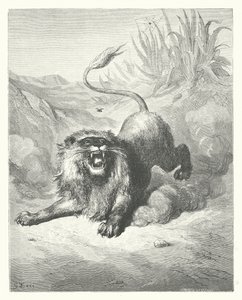 ラ・フォンテーヌの寓話ライオンとブヨ（エングレーヴィング） 作： Gustave Dore