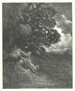 ラ・フォンテーヌの寓話樫と葦（エングレーヴィング） 作： Gustave Dore