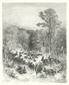 ラ・フォンテーヌの寓話うさぎたち（エングレーヴィング） 作： Gustave Dore