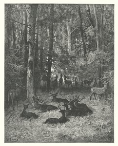 ラ・フォンテーヌの寓話病気の雄鹿（エングレーヴィング） 作： Gustave Dore