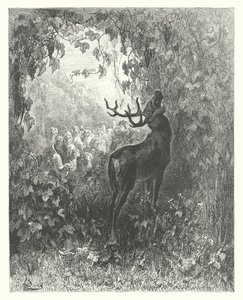 ラ・フォンテーヌの寓話：鹿とぶどうの木（エングレーヴィング） 作： Gustave Dore