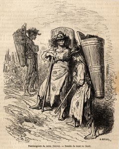 ゼレスの収穫人たち。Gustave Dore (1832-1883)が1862年にCh.Davillierと行ったスペイン旅行を説明するために描いたもの。エドゥアール・シャルトン編『世界旅行』に掲載されている図版 作： Gustave Dore