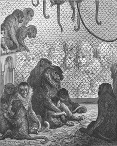 「動物園 - モンキー ハウス」、1872 年。 作： Gustave Dore