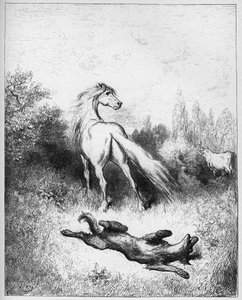 ジャン・ド・ラ・フォンテーヌの「寓話」からの馬と狼-馬と狼- 作： Gustave Dore