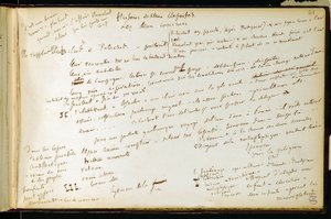 ワークブックのフォリオ41 n. 19 Gustave Flaubertの草稿のページ。BouvardとPecuchetのプラン。BHVP。 作： Gustave Flaubert
