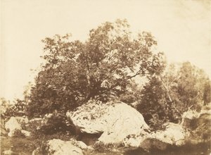 カバットのボルダー、エピネ十字路 フォンテーヌブローの森 作： Gustave Le Gray