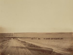 演習、キャンプ・ド・シャロン、1857年。
