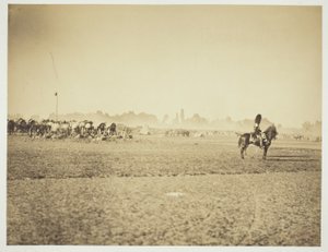 無題 作： Gustave Le Gray