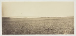 無題 作： Gustave Le Gray