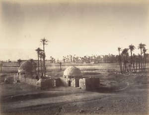 1867年、カルナック神殿からテーベ平原を撮影。 作： Gustave Le Gray
