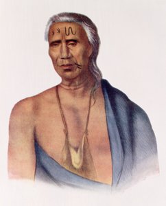 デラウェア州のチーフであるラップパウィンスーは、「The American Tribes of North America、Vol.1」（Thomas L. McKenneyとJames Hall、パブ）によるイラストです。ジョン・グラント 作： Gustavus Hesselius