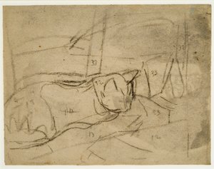 猫の習作（木炭、紙） 作： Gwen John