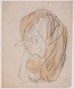 猫の習作（水彩、鉛筆、紙） 作： Gwen John