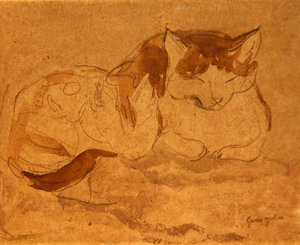 眠っている猫」（鉛筆・水彩・紙） 作： Gwen John