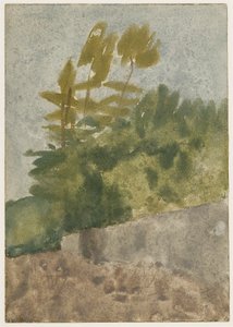 木（紙に水彩、ガッシュ、鉛筆） 作： Gwen John