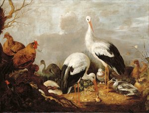 コウノトリ、マガモ、ニワトリ、サギ、カエル、その他の鳥 作： Gysbert Hondecoeter