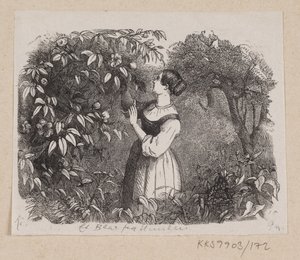 H.C. の「A Leaf from Heaven」のイラスト アンデルセン「おとぎ話と物語」第2巻 作： H.P. Hansen