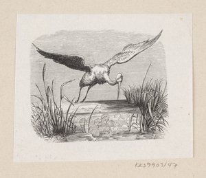 H.C. の「The Storks」のイラスト アンデルセン「おとぎ話と物語」第1巻 作： H.P. Hansen