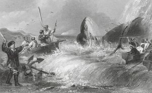 岸辺のクジラ（エングレーヴィング） 作： H. Melville