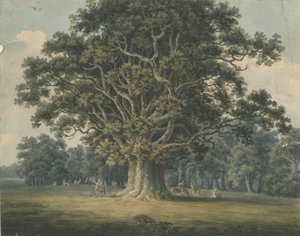 ニードウッド-スウィルカーオーク：水彩画、ND [？19世紀初頭] 作： H Moore