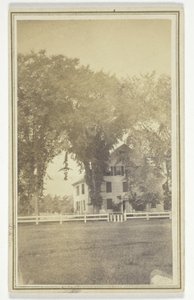 ミス・ブラウンの家と不思議なニレの木。 作： H. O. Bly